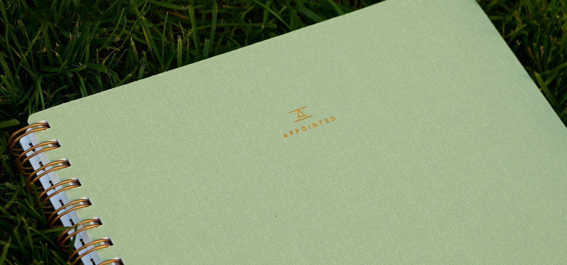 The Spring Edit: Picks From Our Team
